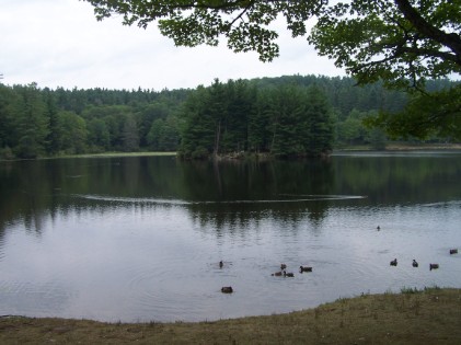 Bass Lake